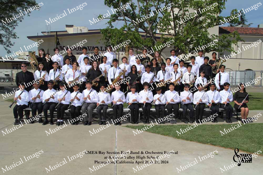 Musical Images